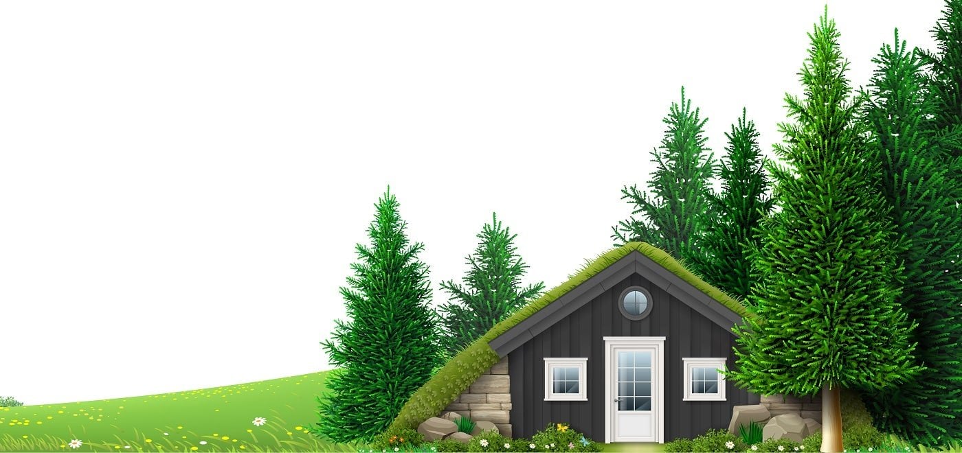 A hut on the edge of the forest. Background banner. Pine forest.