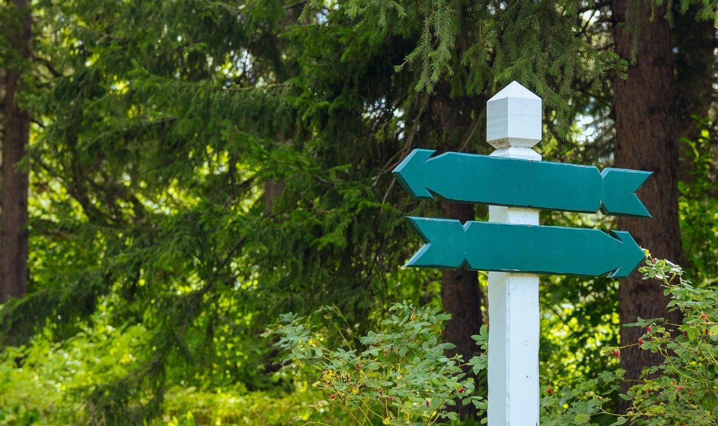 view of two wooden directional signs in forest
