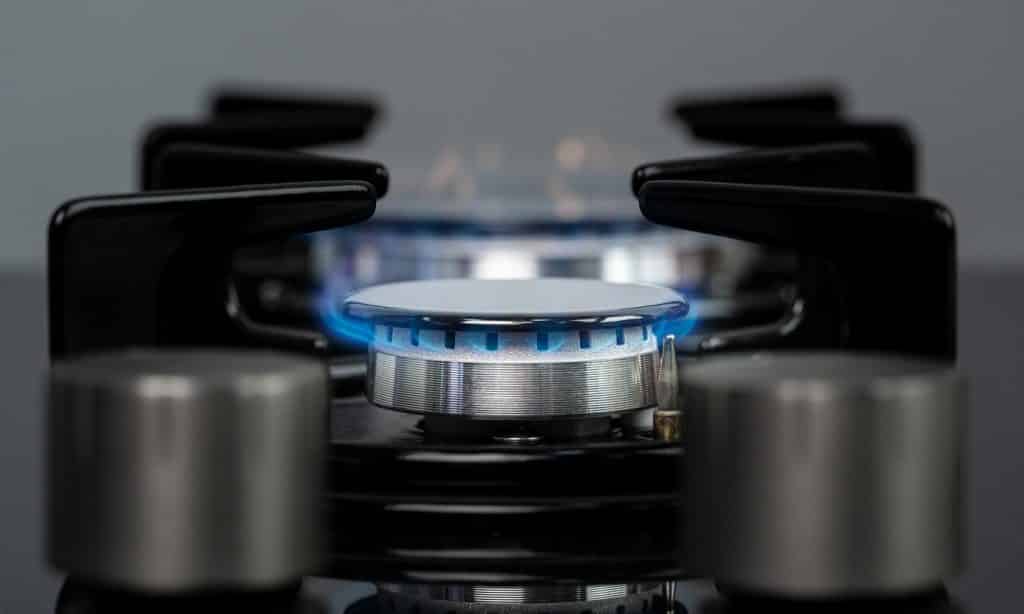 6 Best TwoBurner Gas Cooktop Reviews + Guide