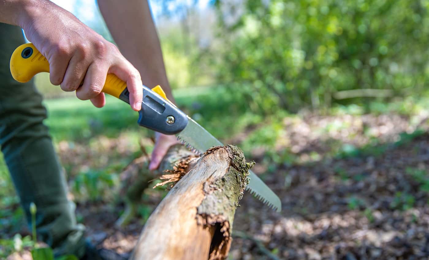 7 Best Backpacking Saws Of 2023 [Reviewed & Buyer’s Guide]