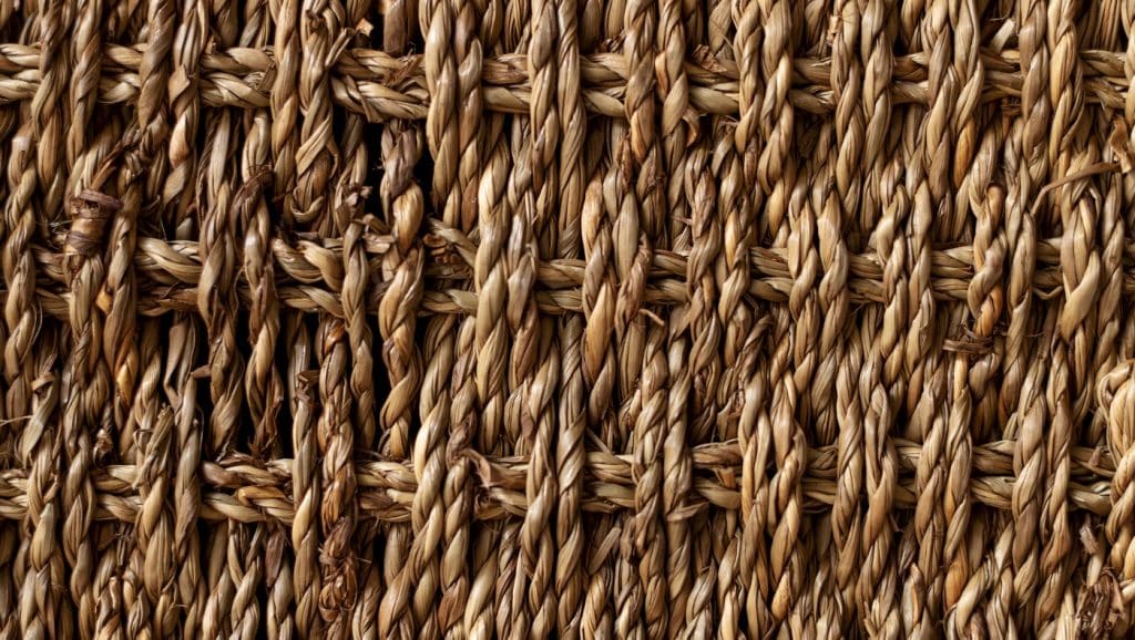 6 Best Bungee Cord Chair To Enjoy In 2023 Reviews + Guide