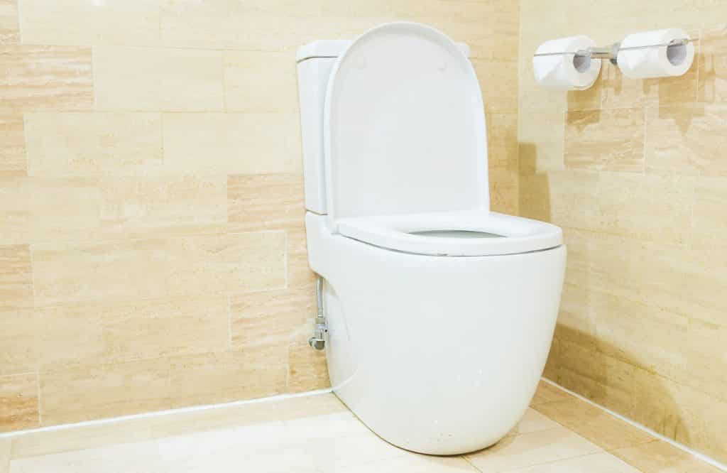 10 Best Dual Flush Toilets Of 2023 Reviews & Buyer’s Guide