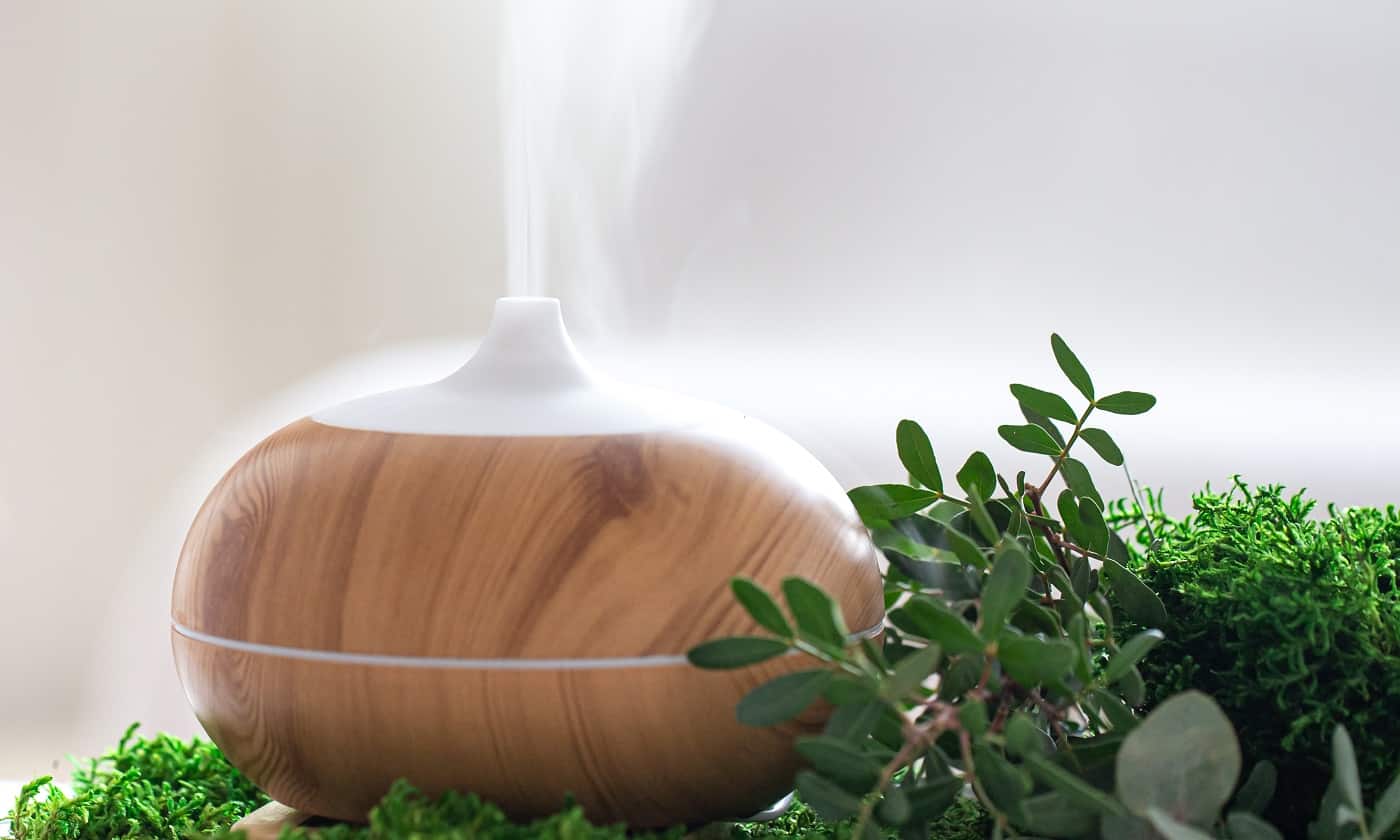Composition with Best Humidifier for Plants
