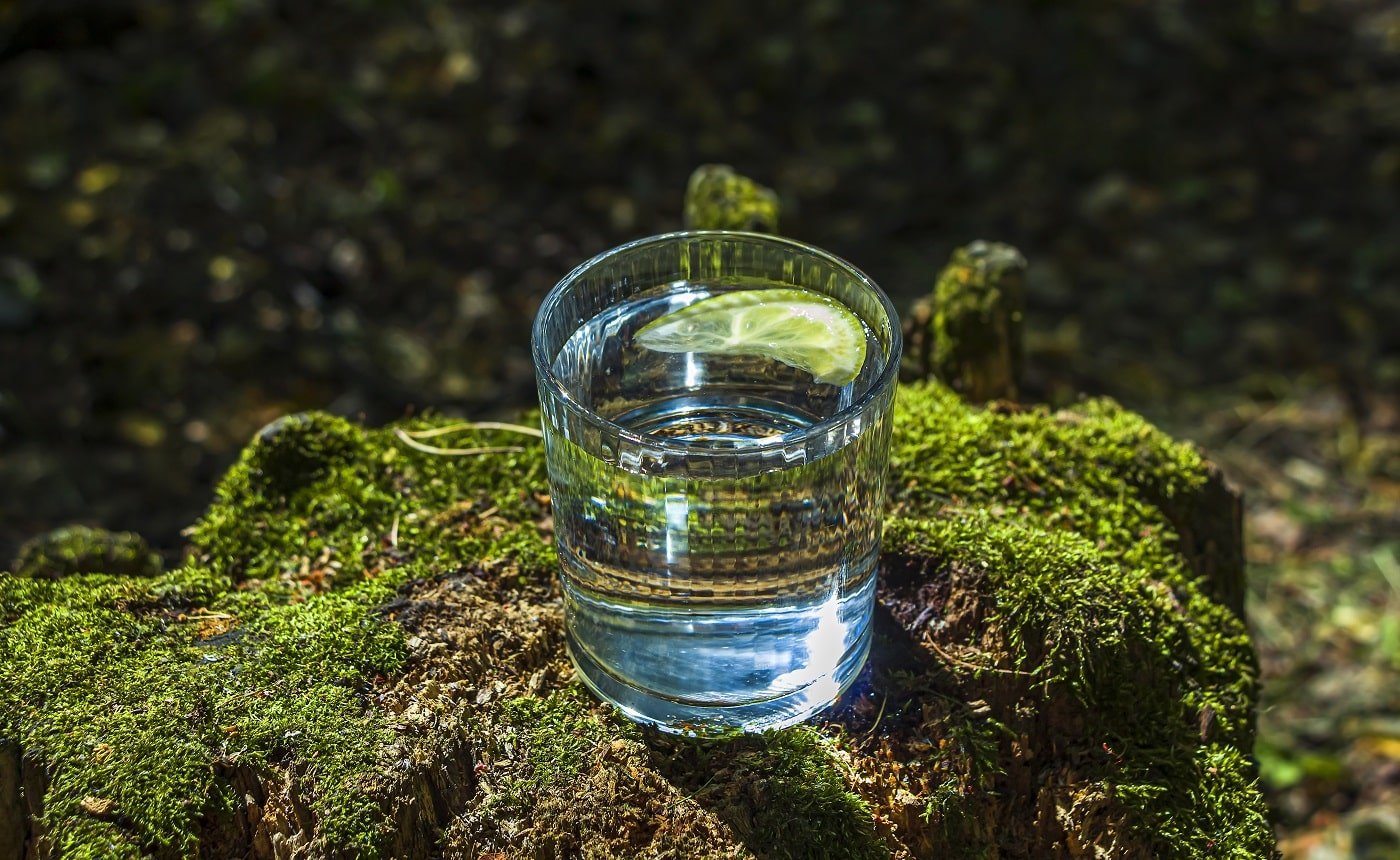 Glass of clean fresh water on tree stump with moss against green natural background. Spring ecologically pure water. World Water Day