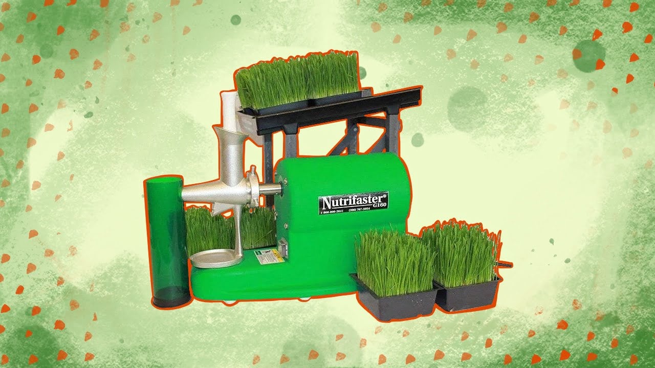 9 Best Wheatgrass Juicers To Buy In 2023 | Reviews + Guide