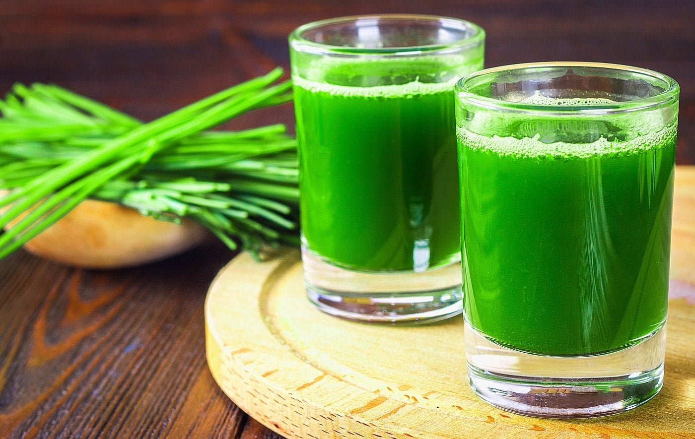 Wheatgrass shot. Juice from wheat grass. Trend of health