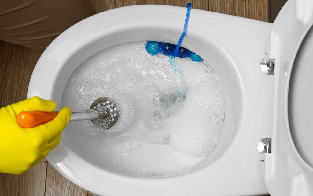 11 Best Toilet Clog Remover Reviews + Guide