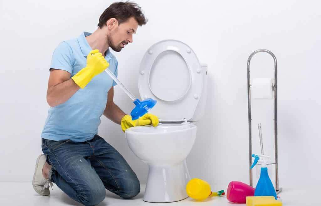 9 Best Toilet Clog Remover Reviews + Guide