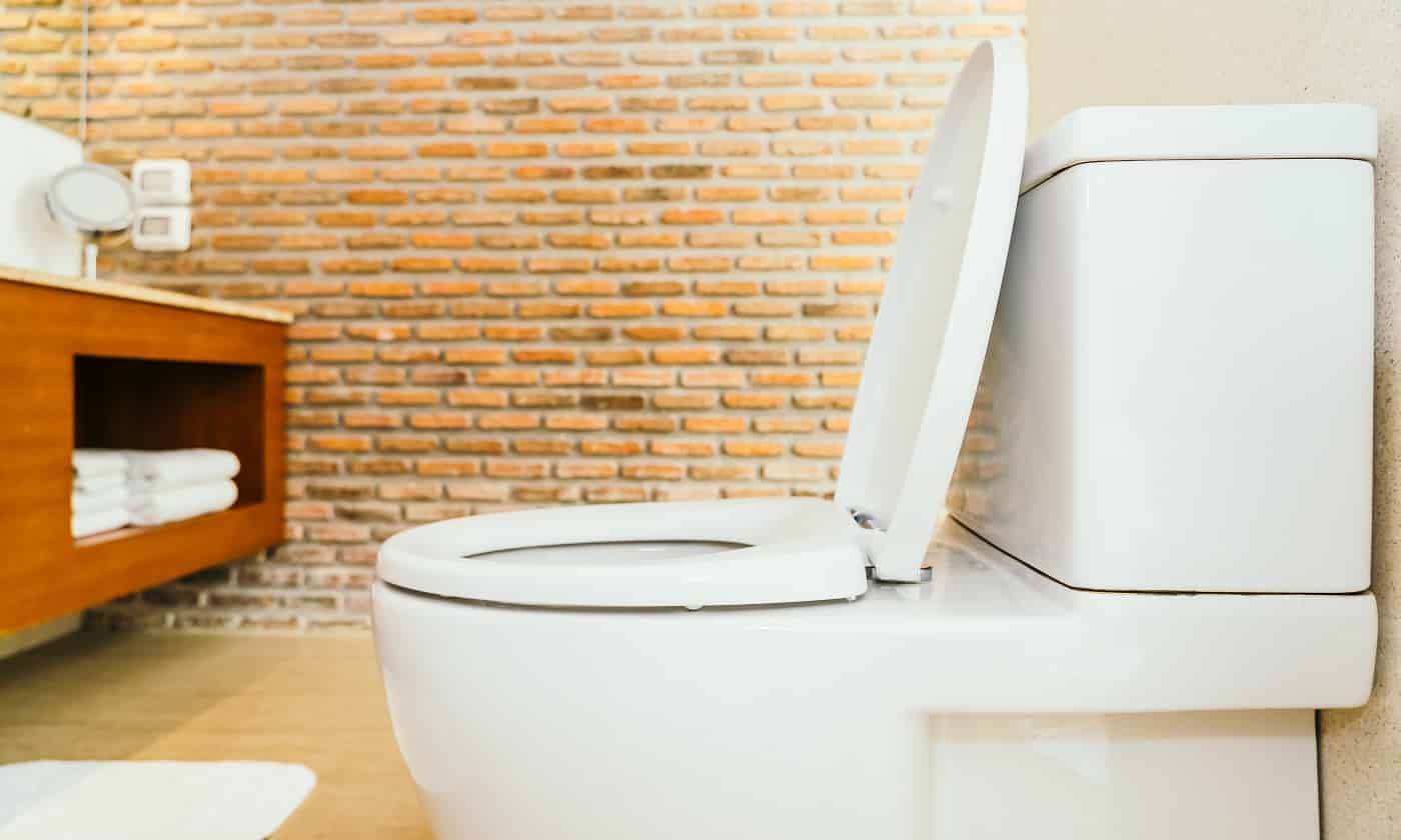 White toilet bowl and seat decoration interior of bathroom
