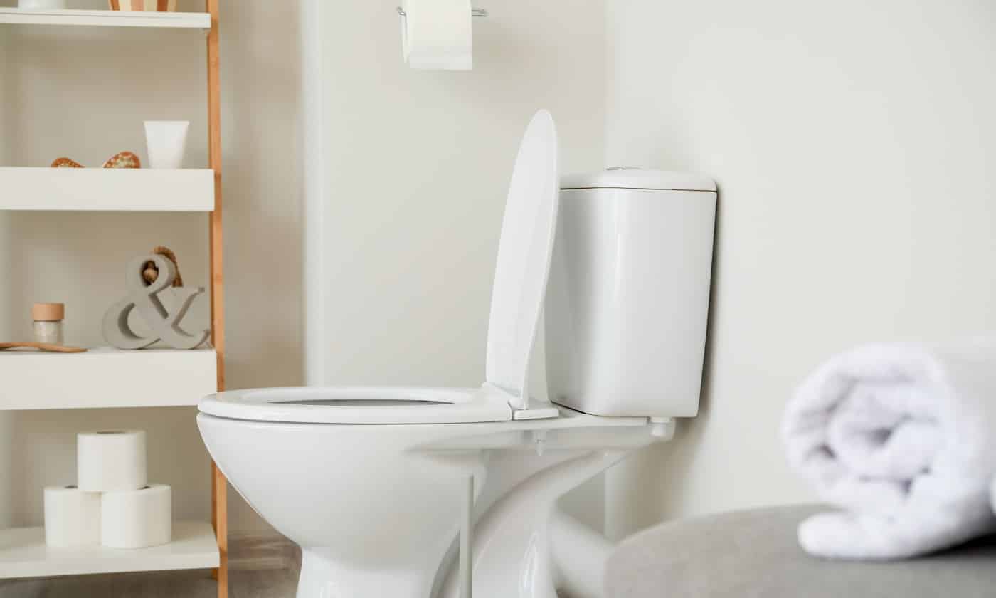 Modern ceramic toilet bowl in interior of restroom