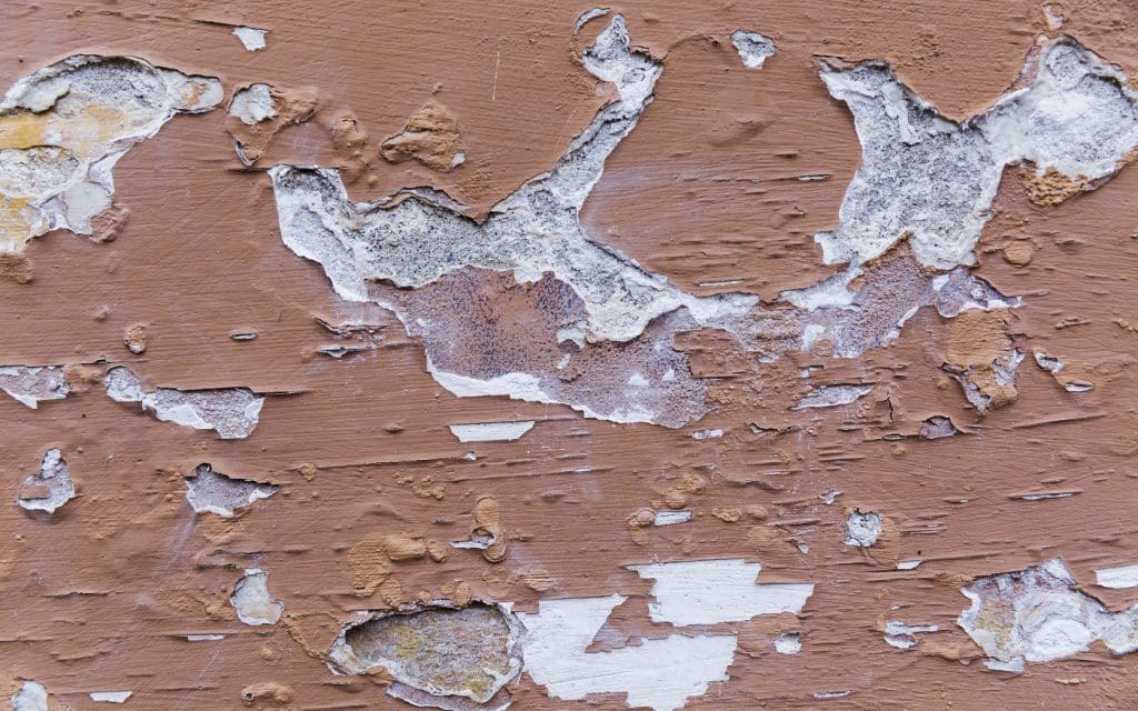 7 Best Exterior Primer For Peeling Paint Reviews + Guide