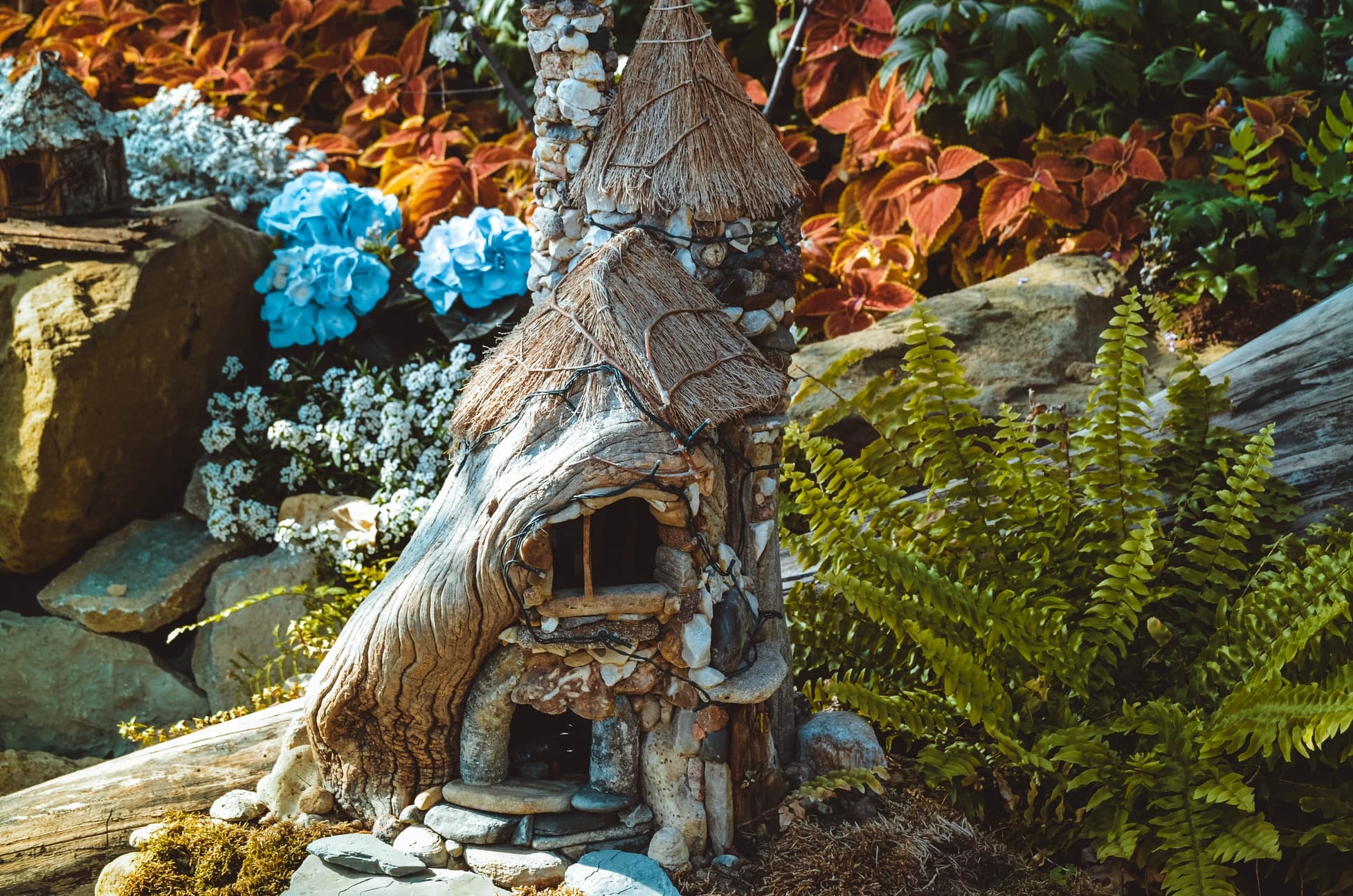 8 Best Fairy Garden Kits [Reviews & Buyer’s Guide]