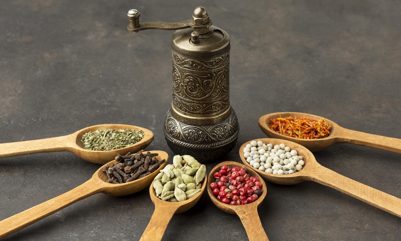 Spice Grinder Buying Guide