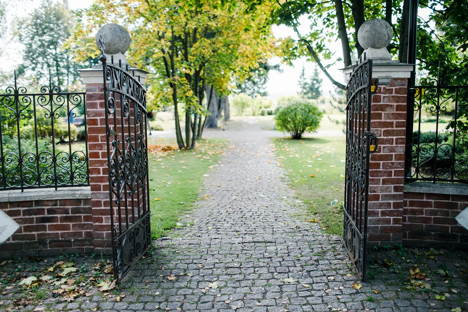 Classical design black wrought iron gate in a beautiful green garden.
