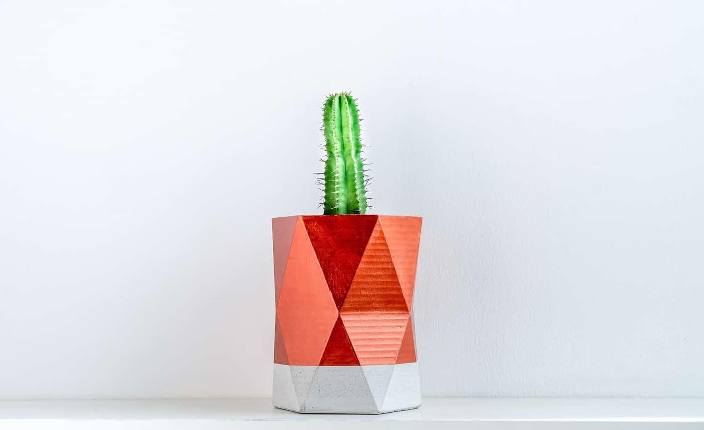 concrete planter with copper spray paint