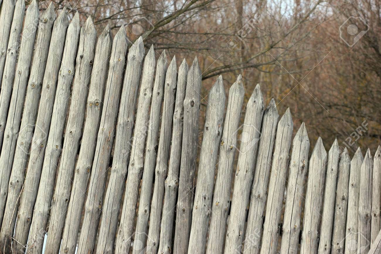 Old wooden stockade fence