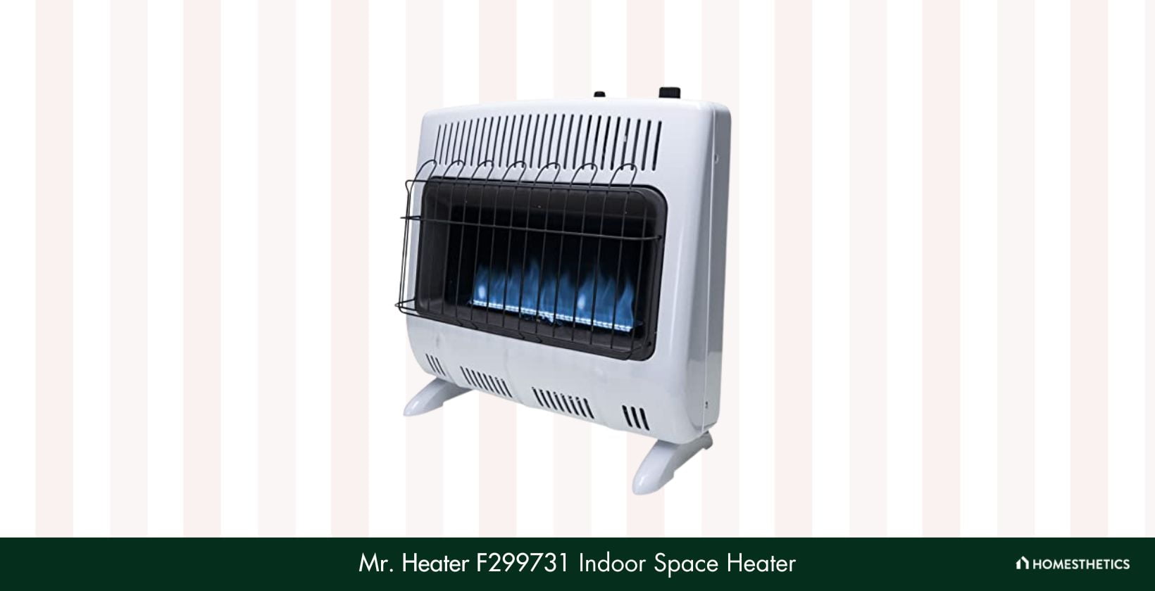 Mr. Heater F299731