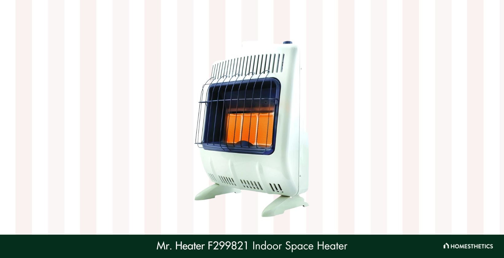 Mr. Heater F299821