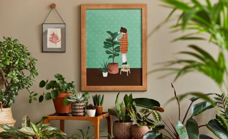 Stylish botany composition of home garden interior with wooden mock up poster frame, filled a lot of beautiful house plants, cacti, succulents in different design pots and floral accessories. TemplateStylish botany composition of home garden interior with wooden mock up poster frame, filled a lot of beautiful house plants, cacti, succulents in different design pots and floral accessories. Template