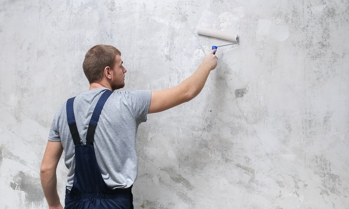 Best Paint Primer For Drywall