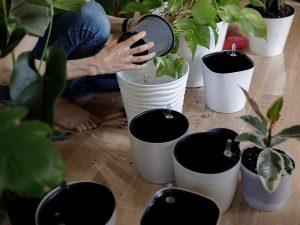 Best Self Watering Planters