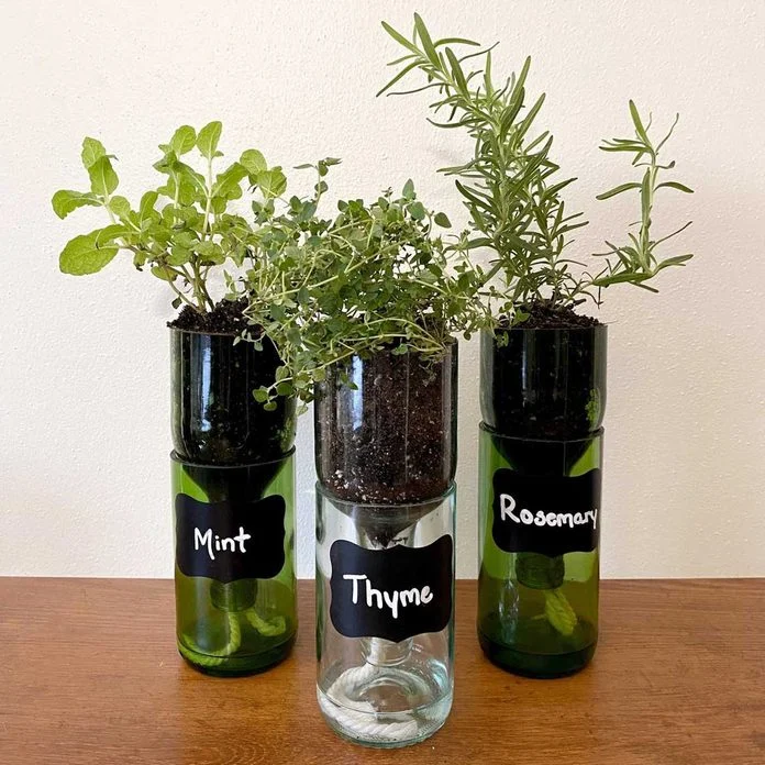 Etsy Wine Bottle Self Watering Planter