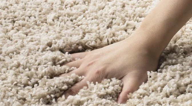 Twist Carpet rug