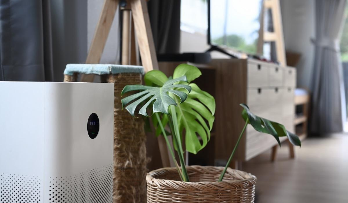 Air purifier with digital monitor screen and house plant on the wooden floor in living room.