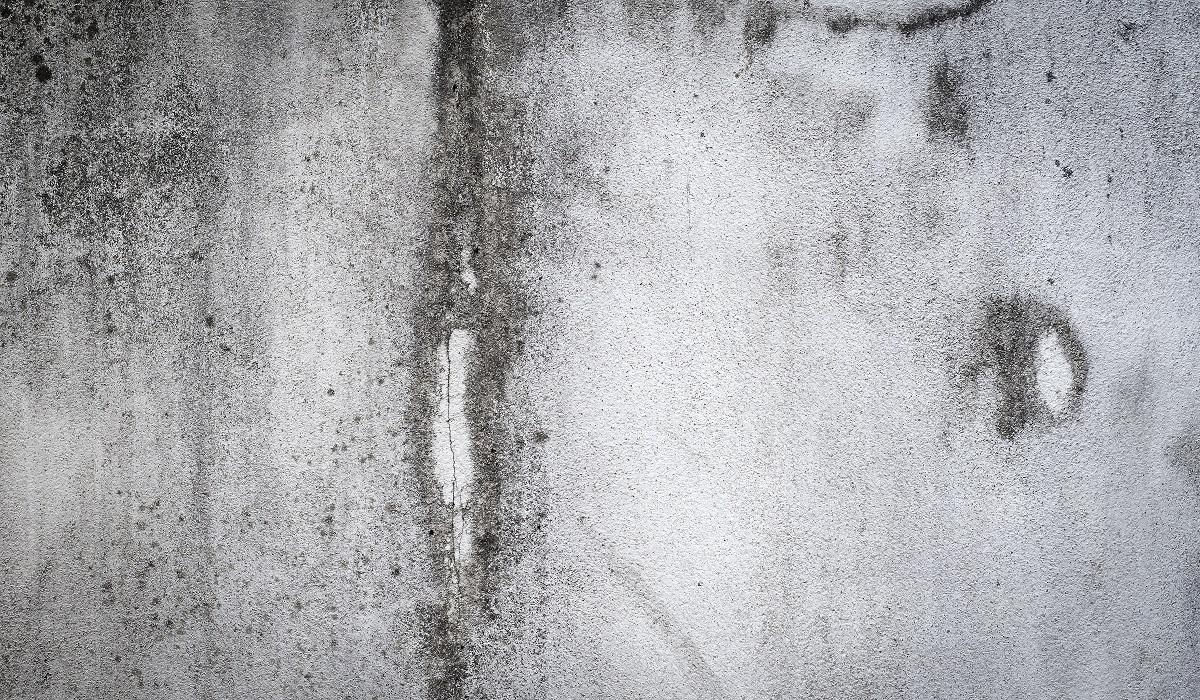 Concrete walls outside the building where black mold occurs.