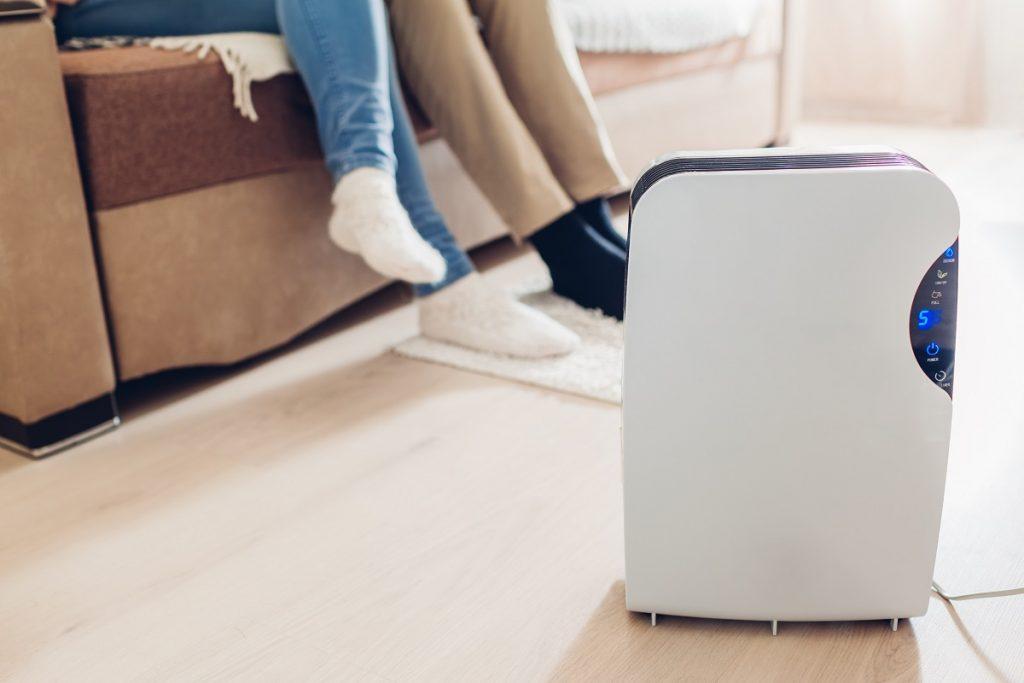 7 Best Dehumidifier For Apartment Reviews + Guide