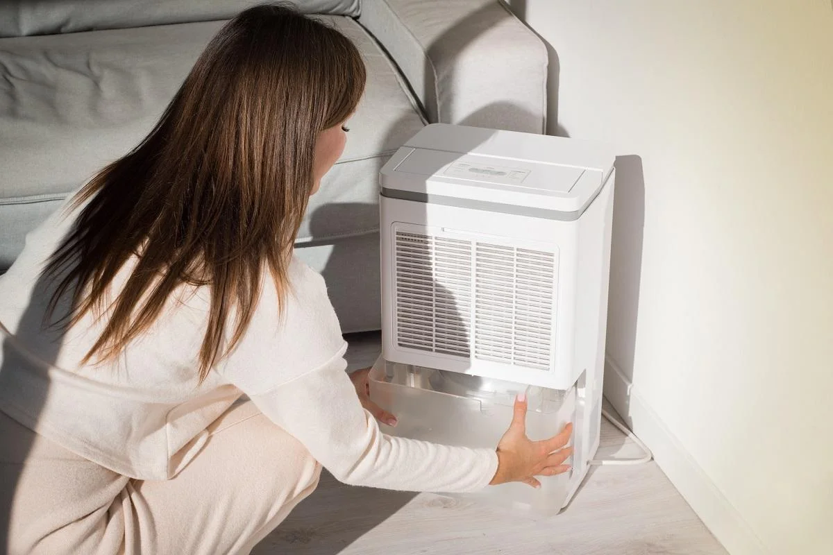 妇女在空气干燥器、除湿器、湿度指示器中更换水容器。 家里空气潮湿。 。 高品质照片