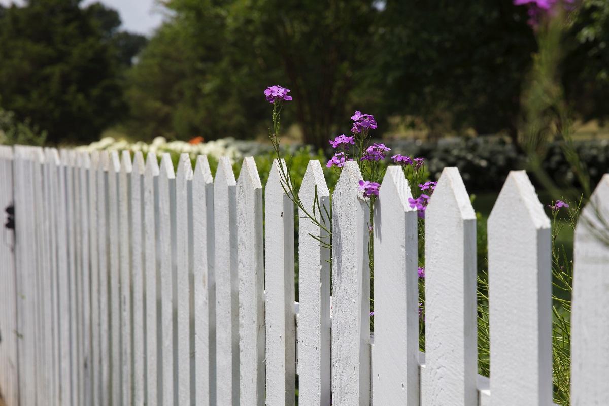 Best Fence For Garden