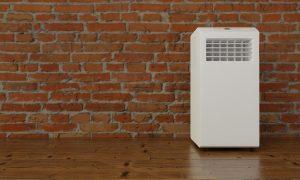 Best Crawl Space Dehumidifier