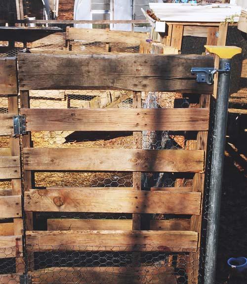 Pallet Rabbit Fence