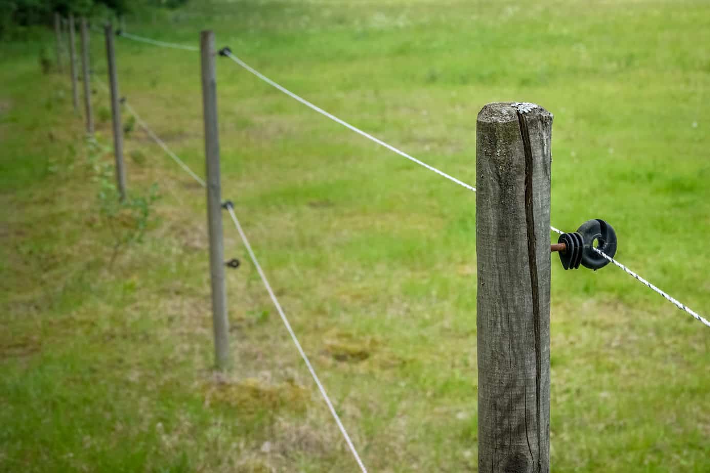 Electric Poly Rope Fencing