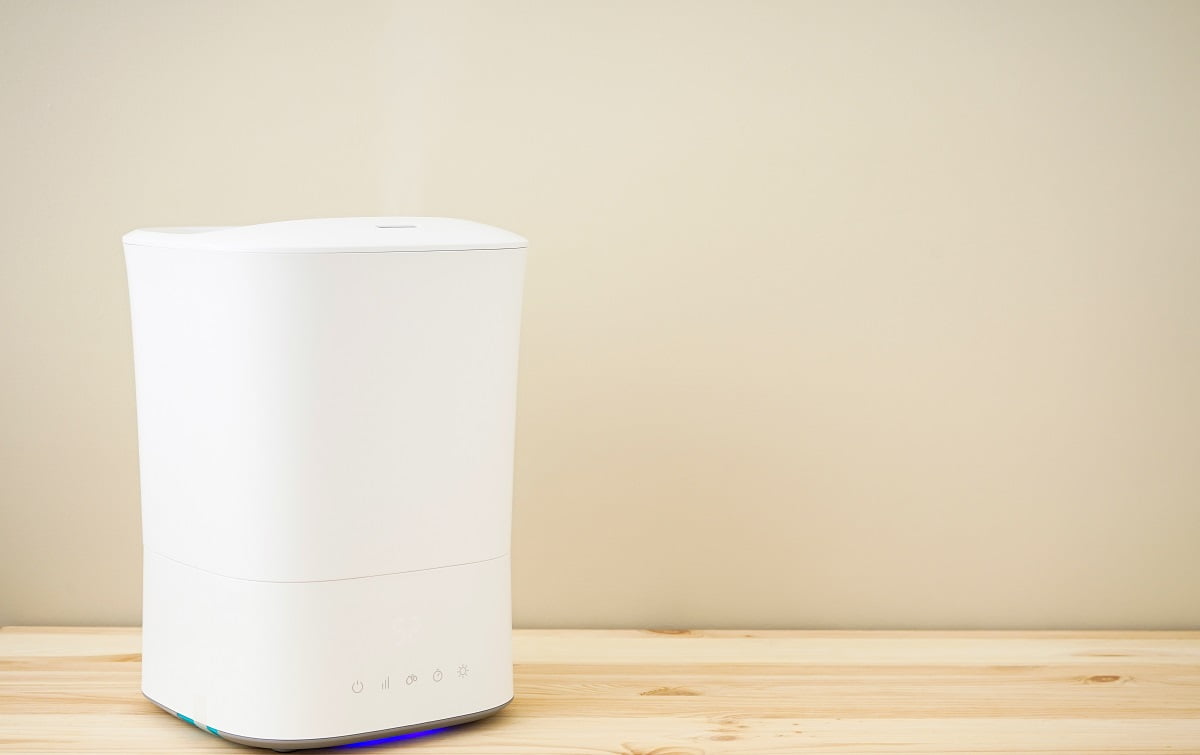 9 Best Steam Humidifiers Reviews + Guide