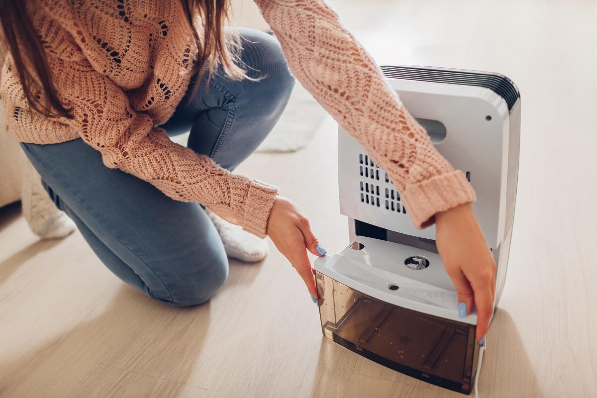 30 Pint Dehumidifier Buying Guide