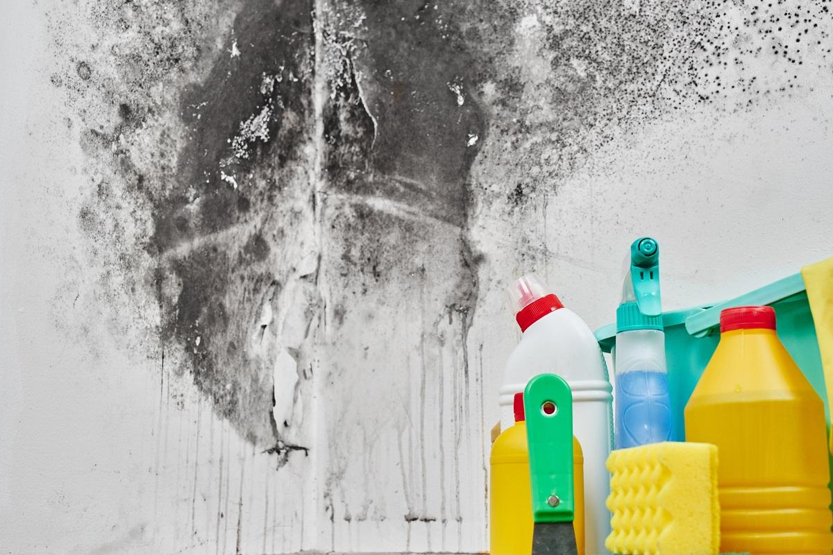 Mold. Aspergillus. Detergents, household gloves, a sponge, a bucket on a white wall background with a black fungus.