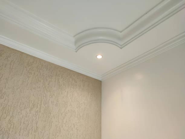 Ceiling Plaster 