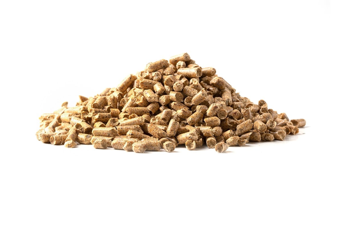 Cat tray filler from pressed sawdust isolated on white background. Can Cat Litter Be Used To Absorb Moisture.
