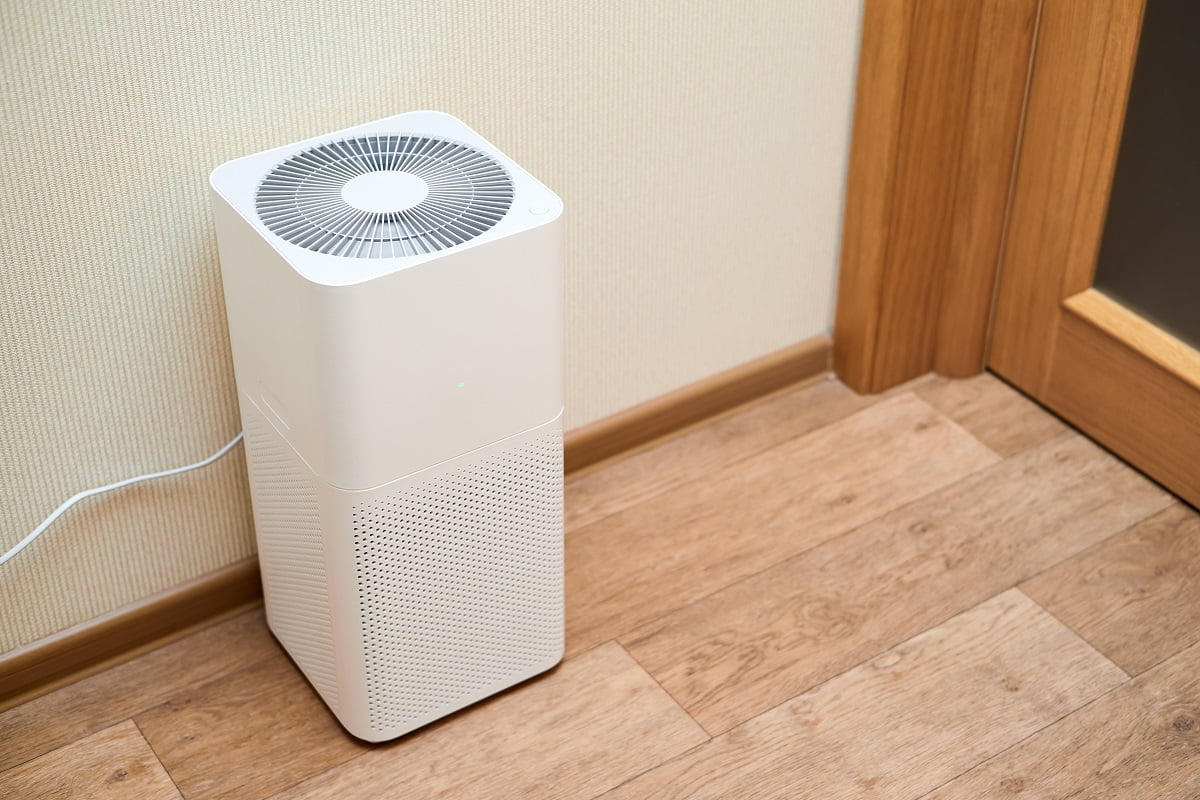 White air purifier in an apartment. What Is Better For A Basement Bedroom Air Conditioner Or Dehumidifier Final Words.