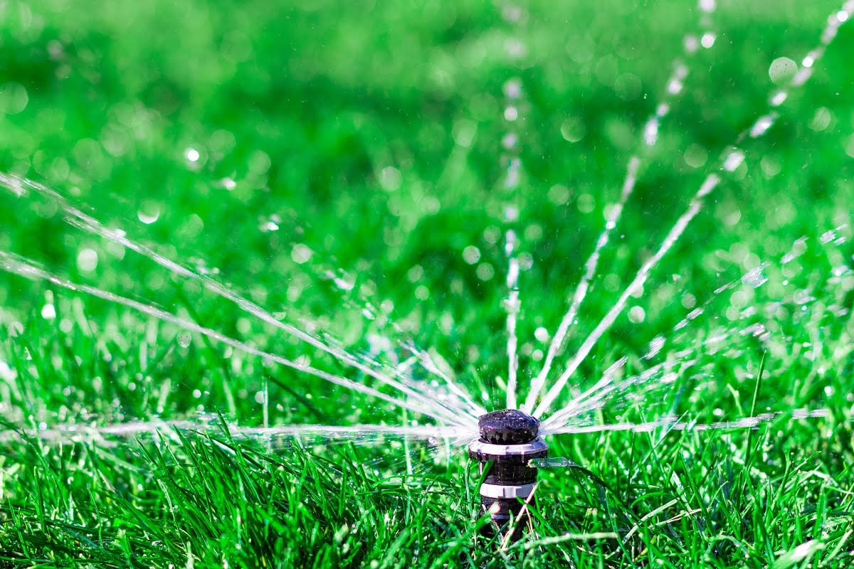 Automatic irrigation sprinkler watering the green lawn. High quality photo. Rain Bird Sprinkler System.