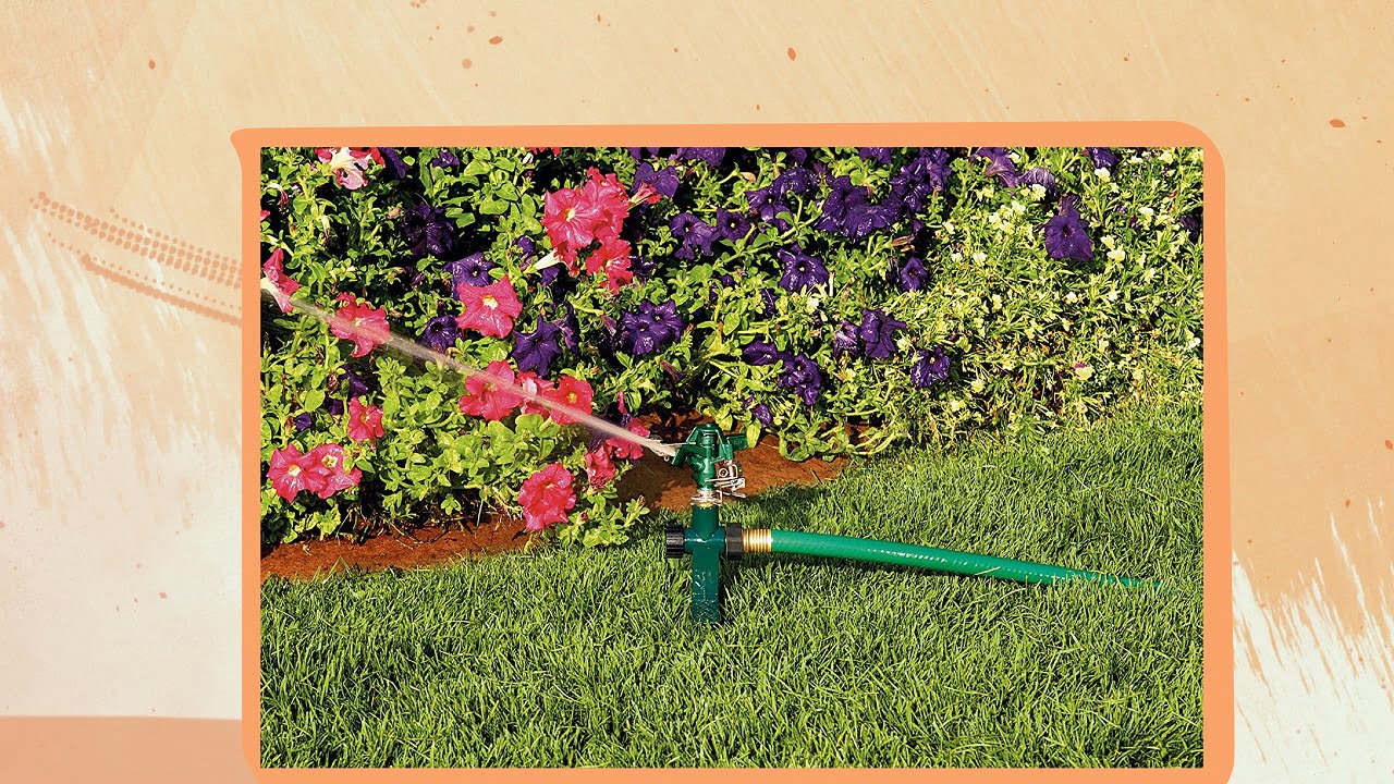 Orbit Vs Rainbird Impact Sprinkler | Comparison + Ideas