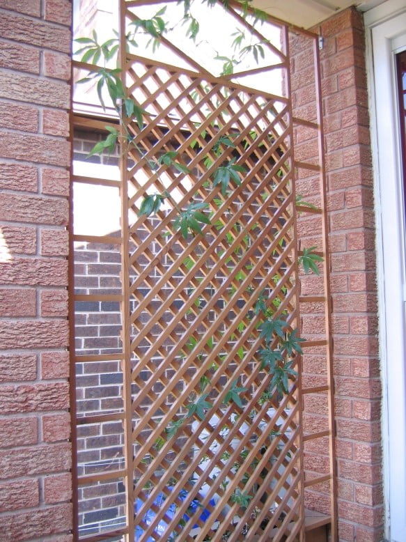 Front Porch Privacy Screen