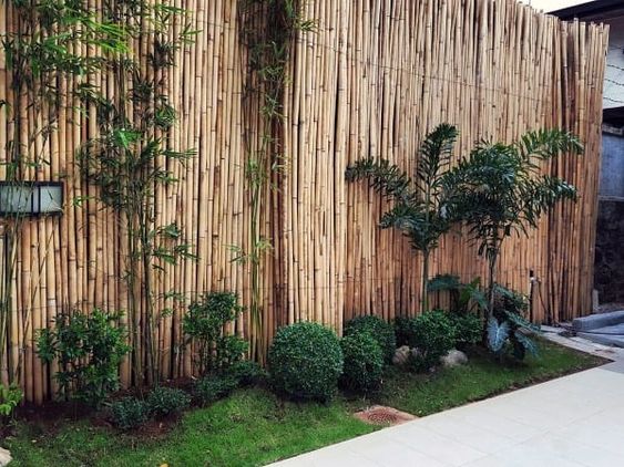 Bamboo Fence