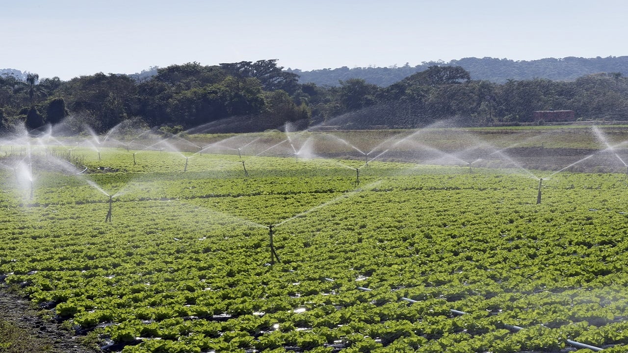Irrigation system in action in vegetable planting. Sao Paulo state. Brazil. How Many Gallons Per Minute Does An Impact Sprinkler Use Final Thoughts.