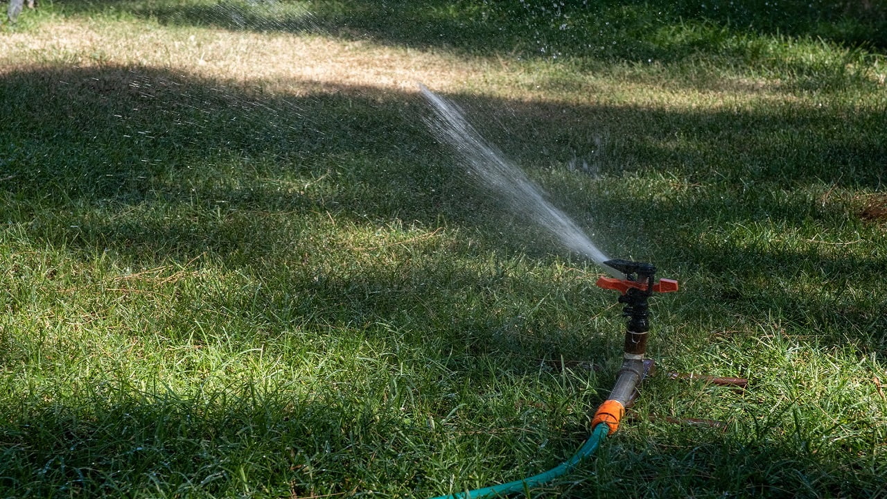 Lawn water sprinkler spraying water on garden lawn on hot summer day. Automatic watering lawns. Impact Sprinkler Trip Pin Final Words.