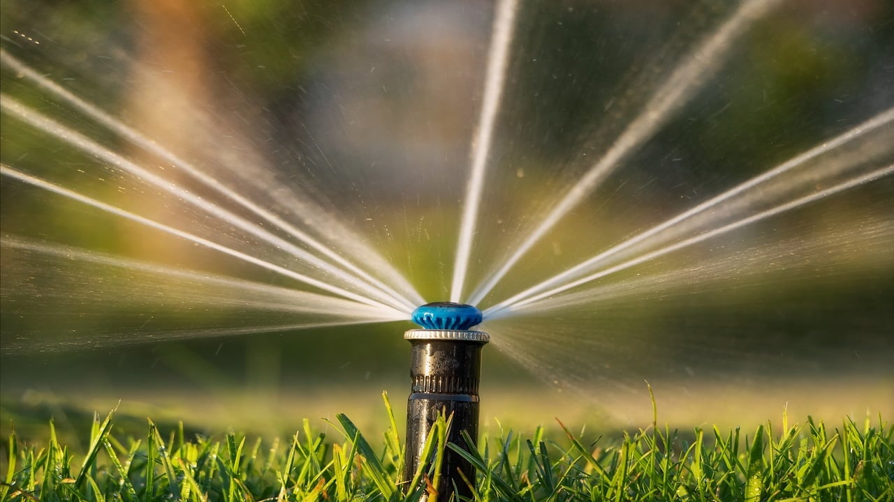 Close-up of automatic irrigation sprinkler watering the lawn at sunset. Irrigation system. What Is A Rotor Sprinkler.