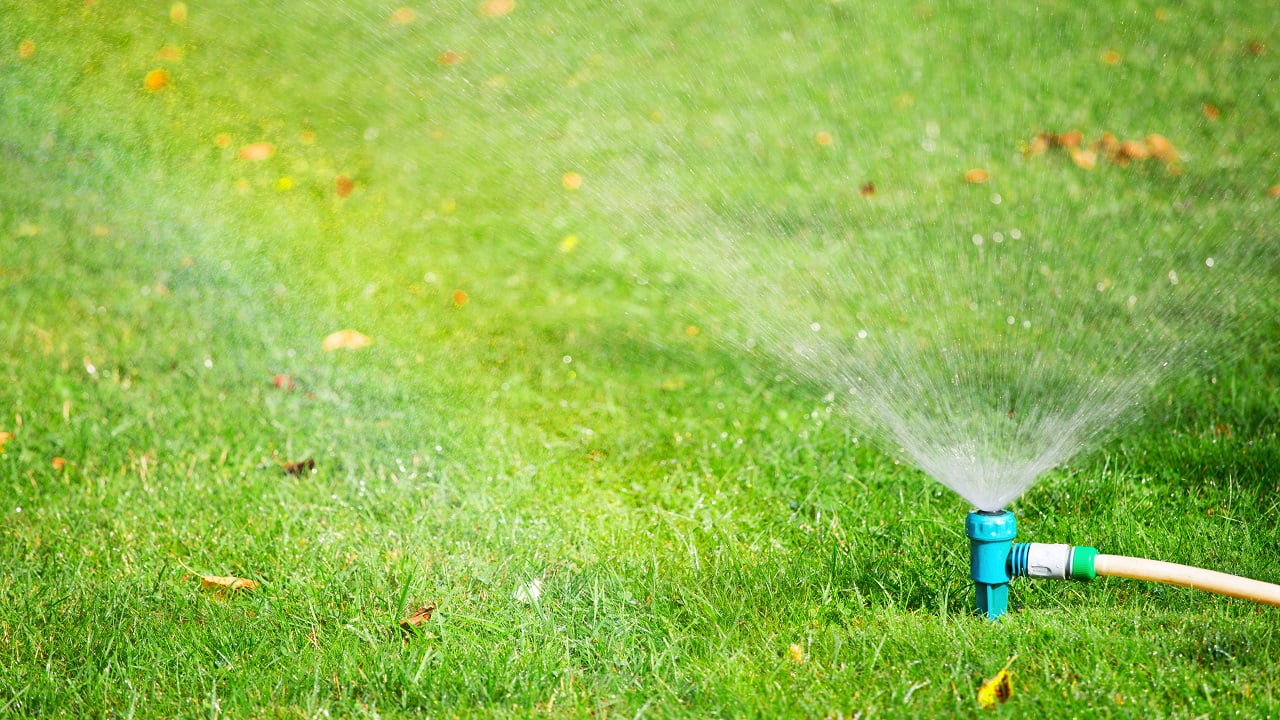 Lawn water sprinkler spaying over green grass. Irrigation system. Impact Sprinkler Vs Rotor Final Words.