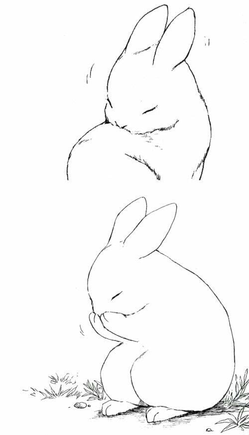 Cute Animals Drawing  How To Draw Cute Animals Step By Step